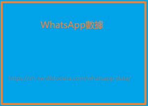 WhatsApp數據