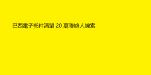 巴西電子郵件清單 20 萬聯絡人線索 